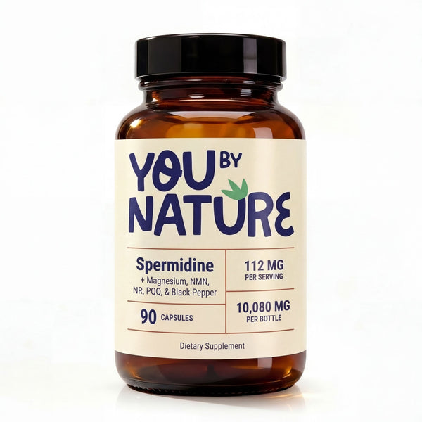 Spermidine front