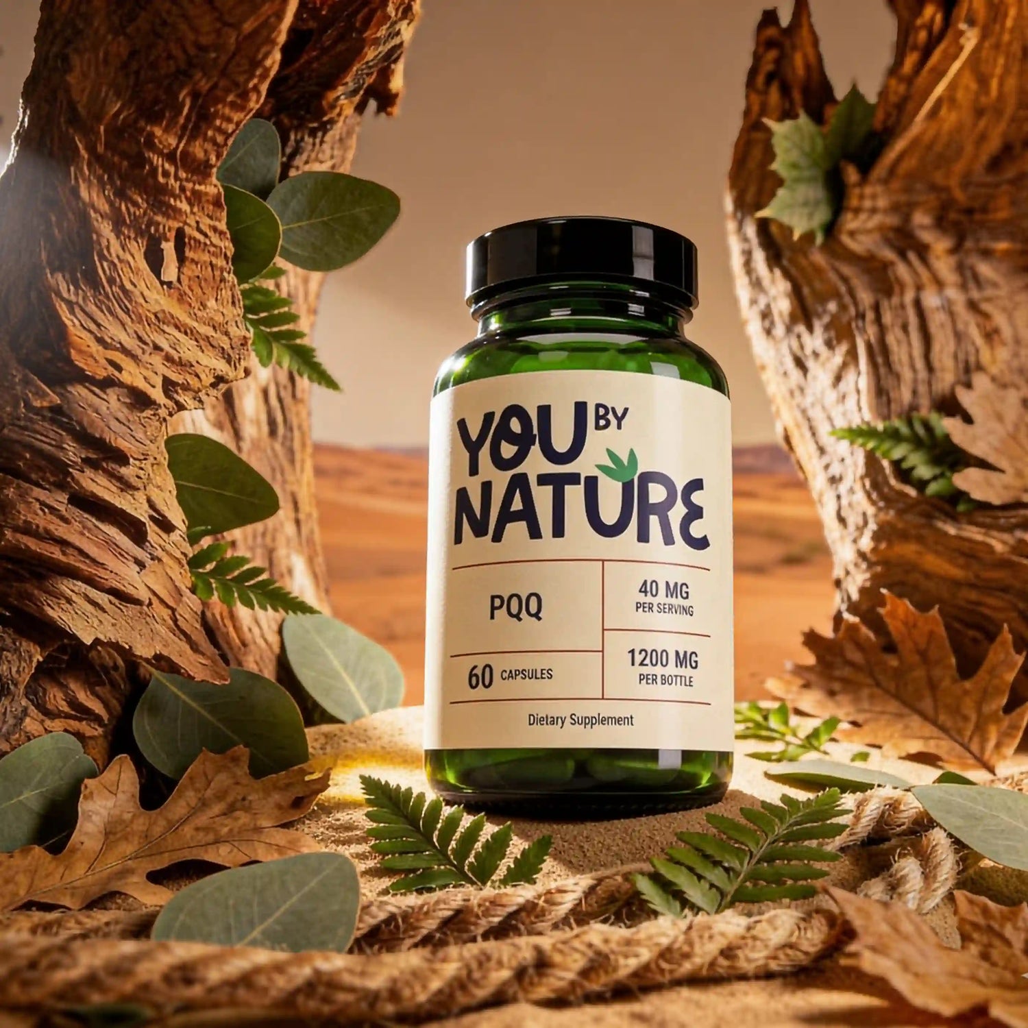 Formulated with intention. Designed for real life.